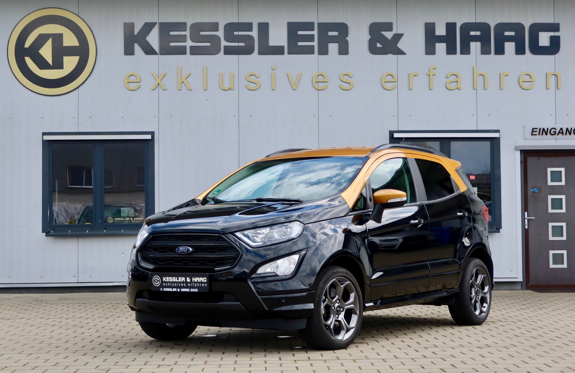 Ford EcoSport Gebrauchtwagen Kaufen