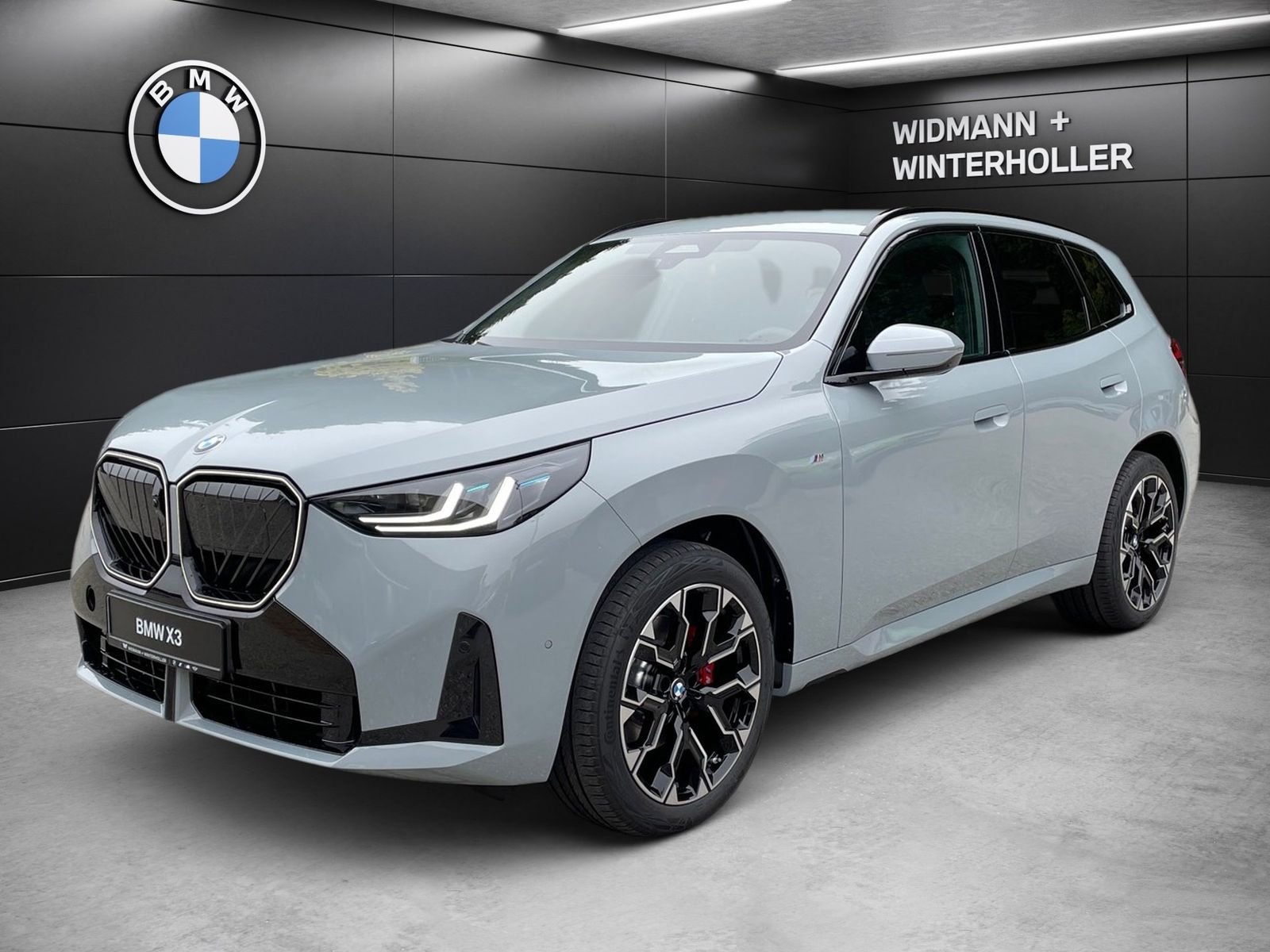 BMW X3 20 xDrive M-Sport Matrix 360° ACC AHK HUD H/K