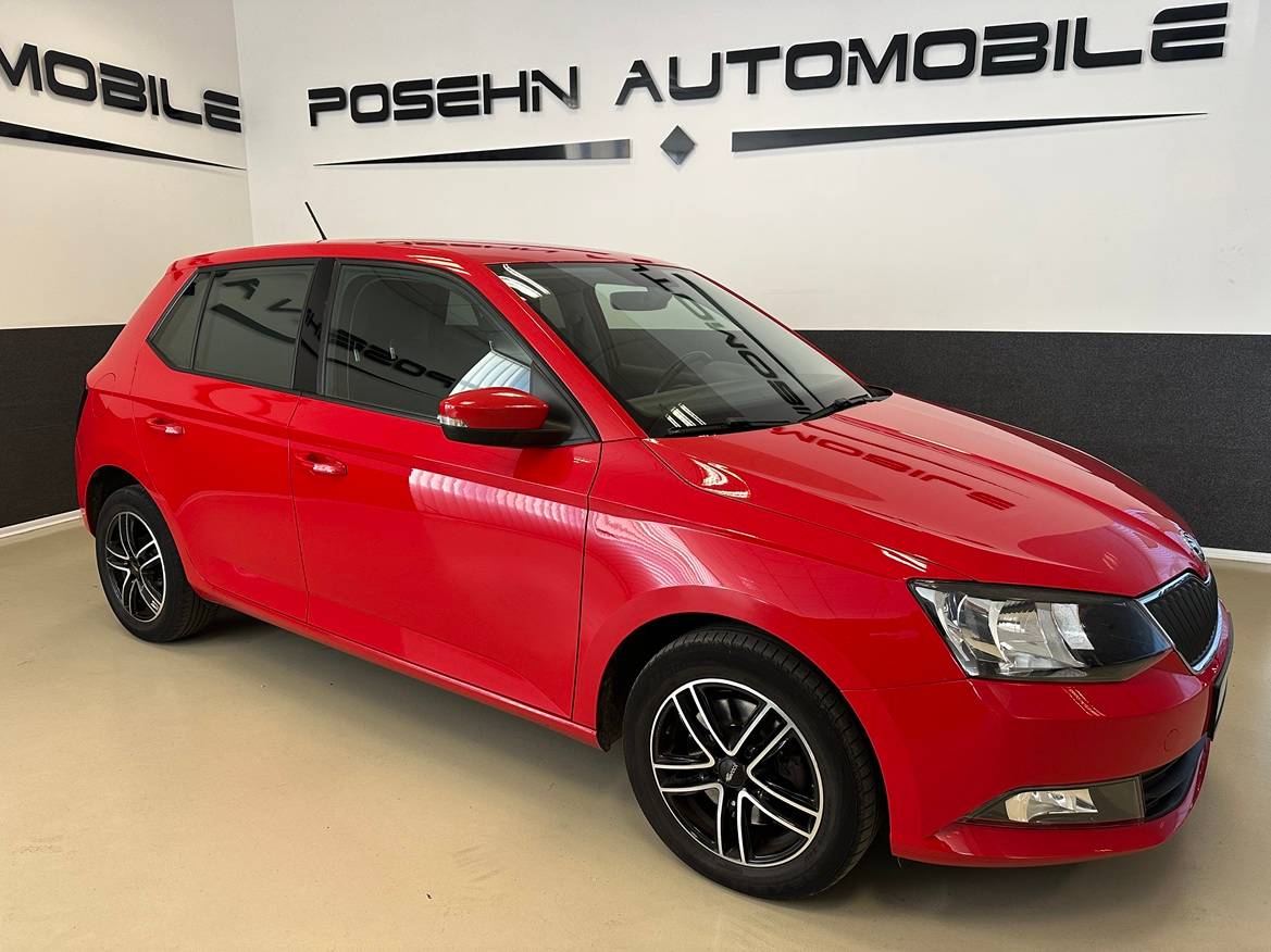 Skoda Fabia Gebrauchtwagen Kaufen