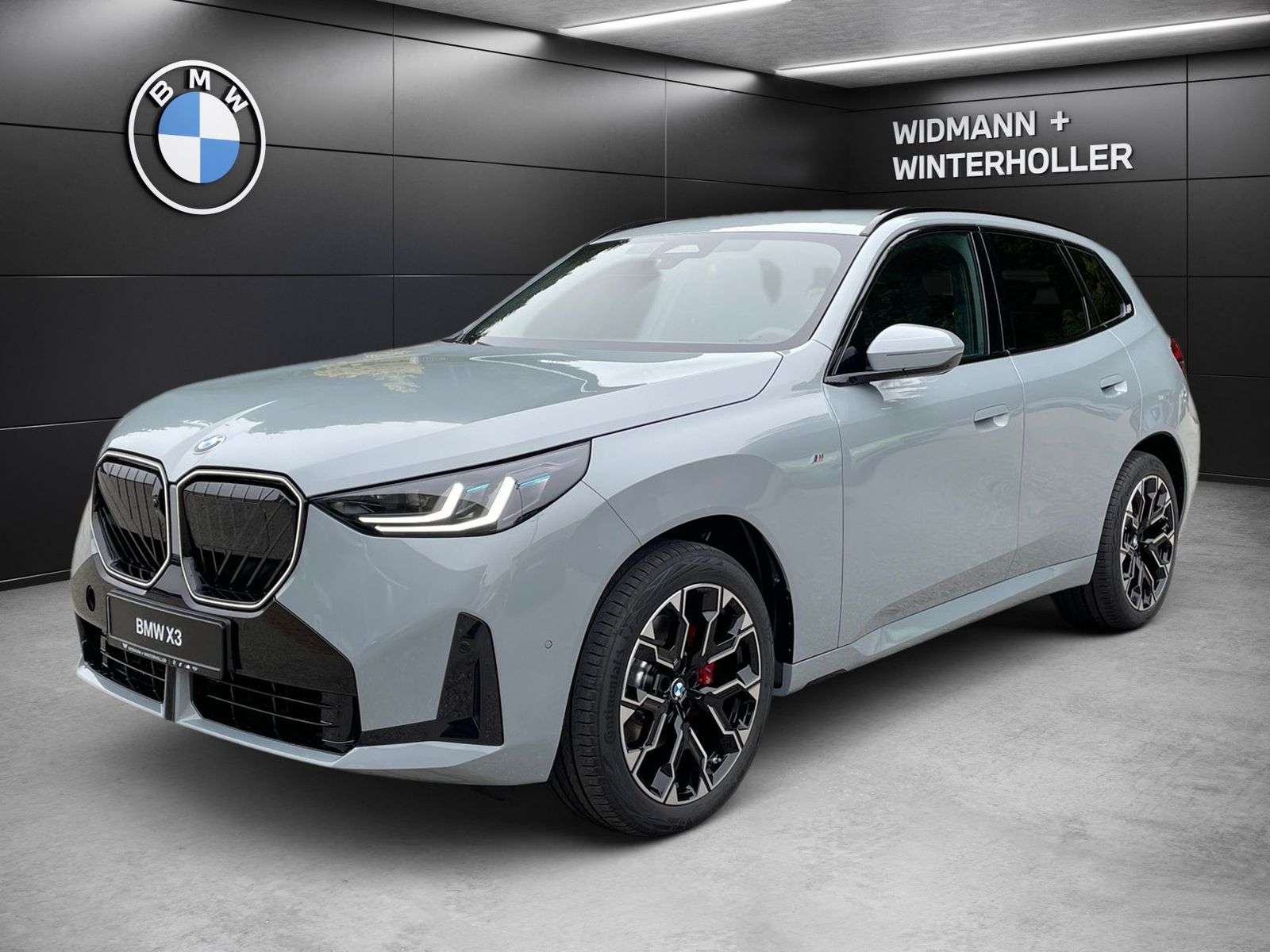 BMW X3 20 xDrive M-Sport Matrix 360° ACC AHK HUD H/K
