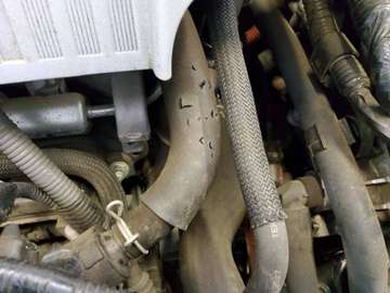 Toyota Yaris Edition-S Hybrid – Bild 17