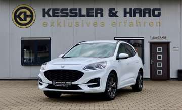 Ford Kuga 2.5 Duratec Hybrid ST-Line X B&O/Key-Go/TOP – Bild 1