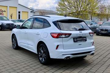 Ford Kuga 2.5 Duratec Hybrid ST-Line X B&O/Key-Go/TOP – Bild 7